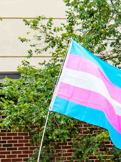 Trans pride flag