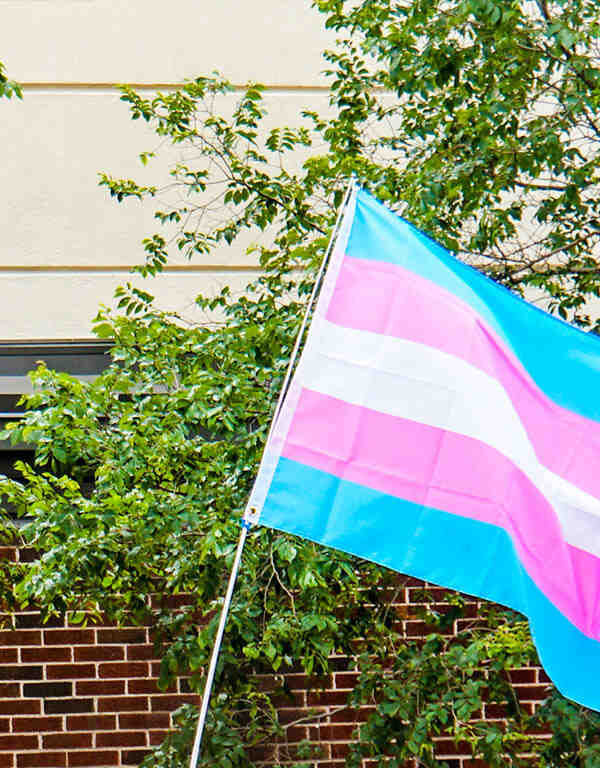 Trans pride flag