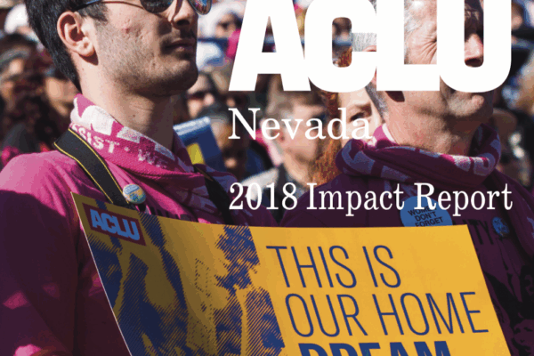 Cover image for 2018 impact report