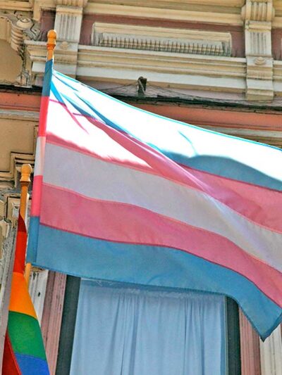 Trans pride flag.