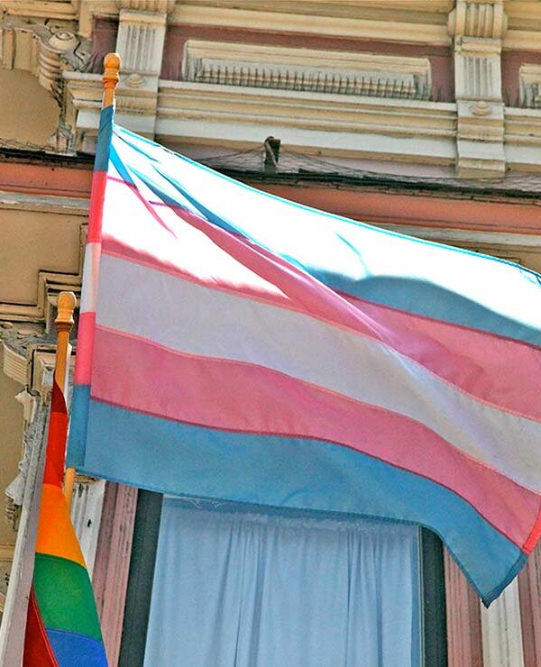 Trans pride flag.