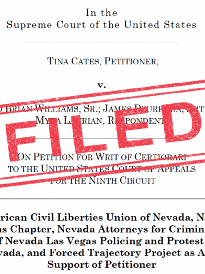 An image of a legal brief stamped "filed"