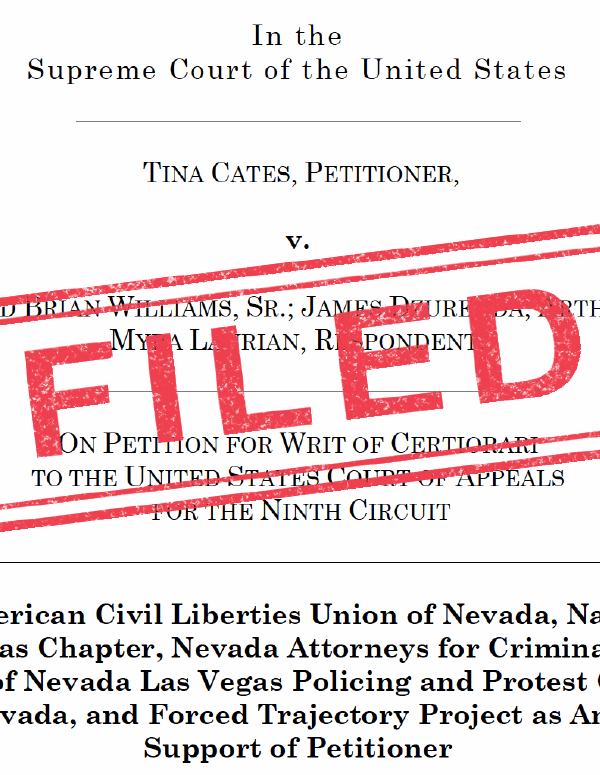 An image of a legal brief stamped "filed"