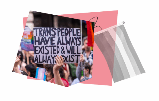 Collage-style graphic with a pink and gray color palette. At the center is a photo of a person holding a protest sign that reads: “TRANS PEOPLE HAVE ALWAYS EXISTED & WILL ALWAYS EXIST,” surrounded by a crowd at a rally. To the right, there is a grayscale-striped flag representing the agender pride flag.