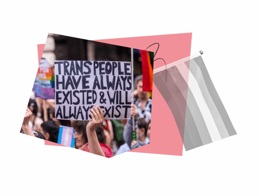 Collage-style graphic with a pink and gray color palette. At the center is a photo of a person holding a protest sign that reads: “TRANS PEOPLE HAVE ALWAYS EXISTED & WILL ALWAYS EXIST,” surrounded by a crowd at a rally. To the right, there is a grayscale-striped flag representing the agender pride flag.