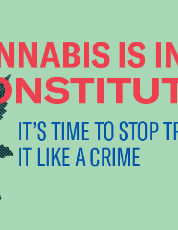 Graphic reads "Cannabis is in our Constitution"