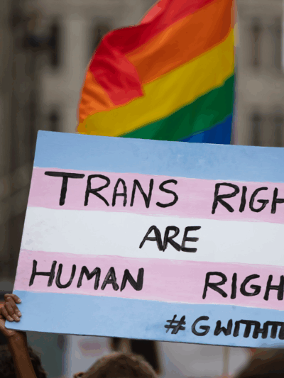 Protest sign painted like the transgender flag that says "Trans Rights Are Human Rights."