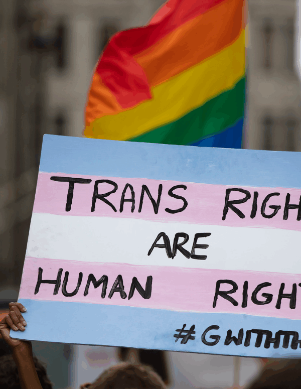 Protest sign painted like the transgender flag that says "Trans Rights Are Human Rights."