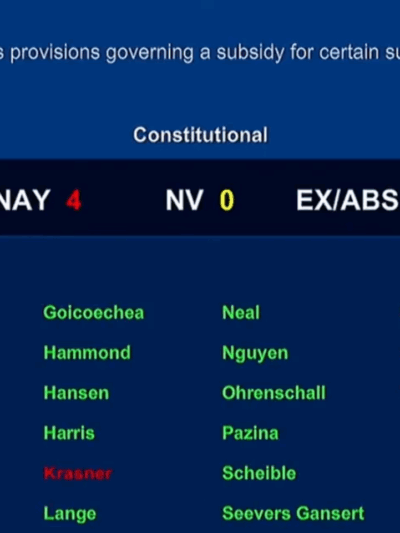 Screenshot of floor vote screen