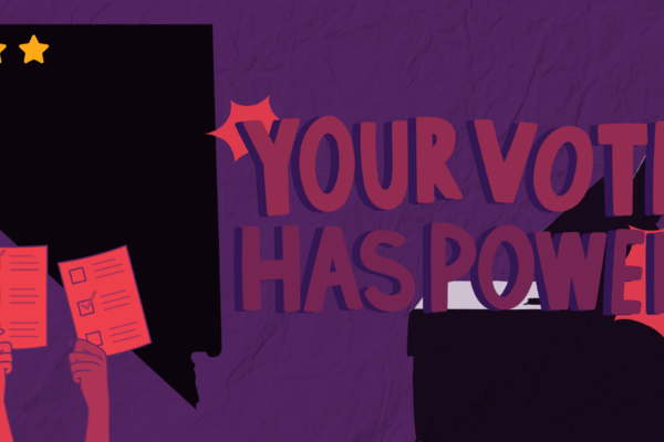 STATEWIDE VOTER PROTECTION.png