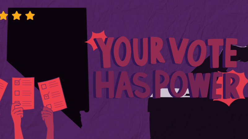 STATEWIDE VOTER PROTECTION.png