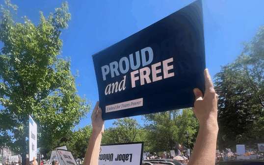 A person holds up a blue sign that says ‘Proud and Free’ at an outdoor rally. The crowd around them holds various protest signs, and trees line the bright, sunny scene.