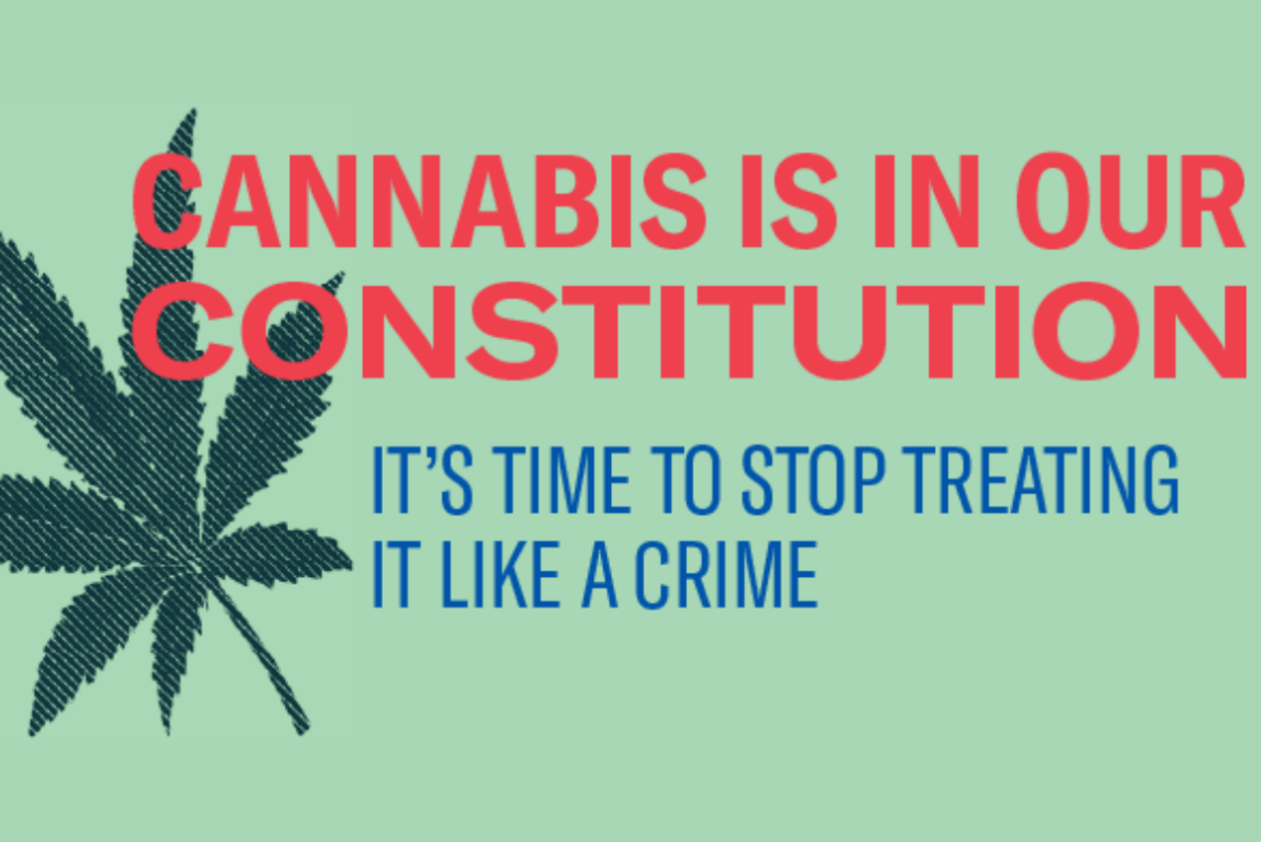 Graphic reads "Cannabis is in our Constitution"