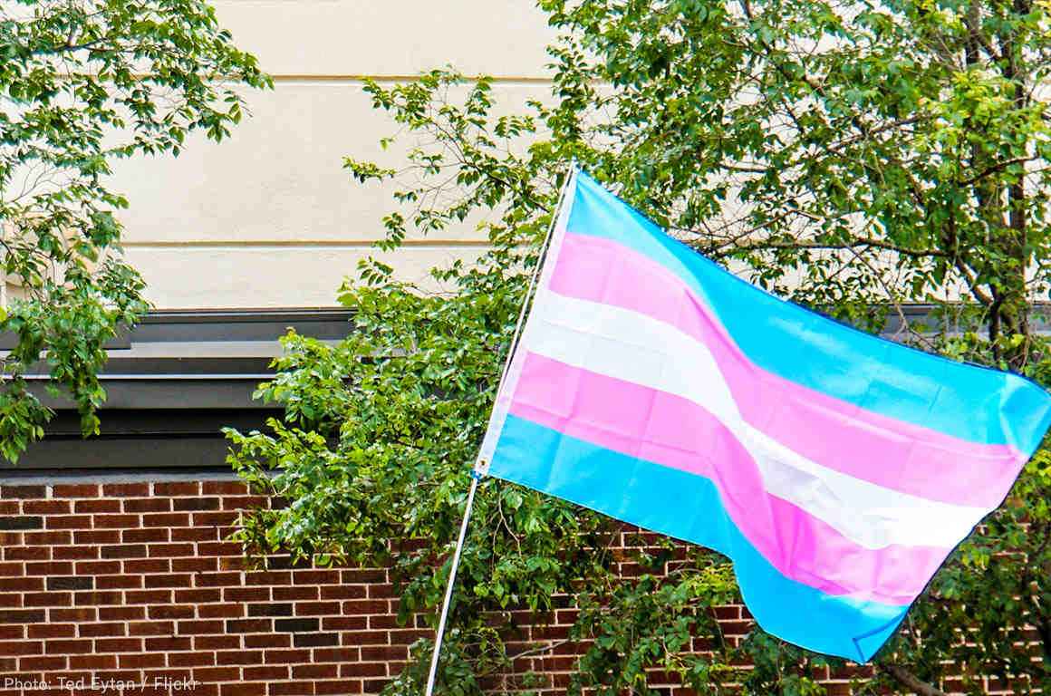 Trans pride flag