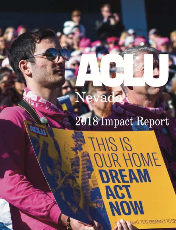 Cover image for 2018 impact report