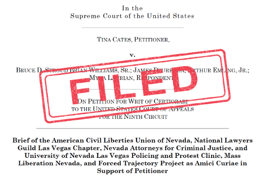 An image of a legal brief stamped "filed"