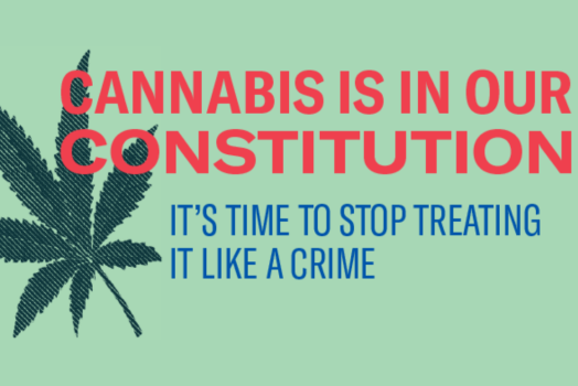 Graphic reads "Cannabis is in our Constitution"