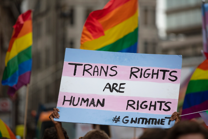 Protest sign painted like the transgender flag that says "Trans Rights Are Human Rights."