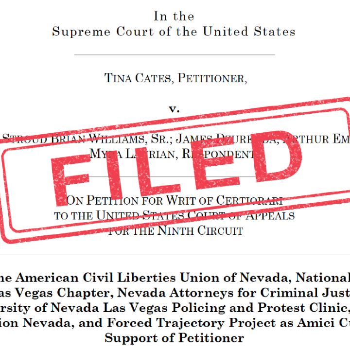 An image of a legal brief stamped "filed"