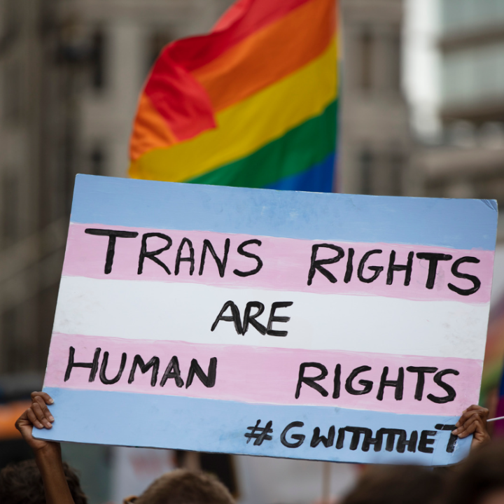 Protest sign painted like the transgender flag that says "Trans Rights Are Human Rights."