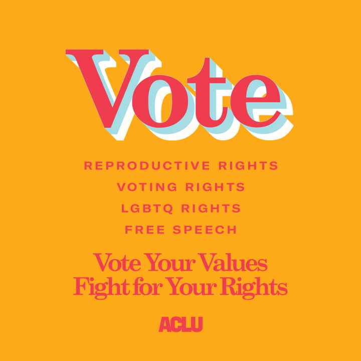 a photo that says "vote reproductive rights voting rights LGBTQ rights free speech vote your values fight for your rights.