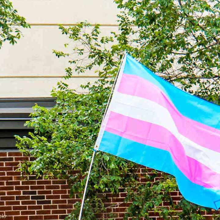 Trans pride flag